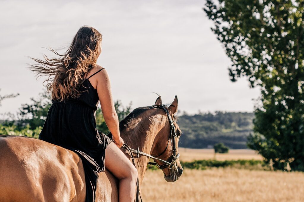 horseback riding, horse, woman-3553269.jpg